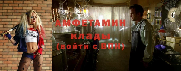 стафф Алзамай