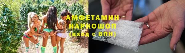 jwh Пересвет