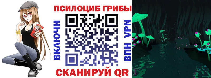Псилоцибиновые грибы Cubensis  Кувшиново 